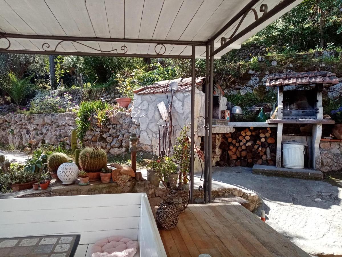 Cottage Pura Vigna Immerso Nella Natura Vicino Al Mare Порто-Санто-Стефано Екстер'єр фото