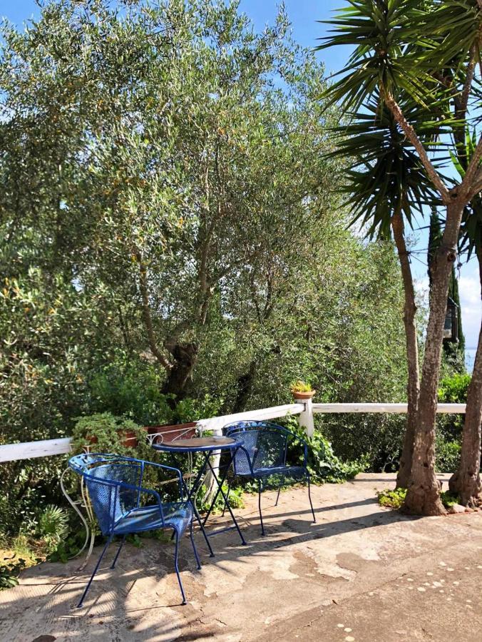 Cottage Pura Vigna Immerso Nella Natura Vicino Al Mare Порто-Санто-Стефано Екстер'єр фото
