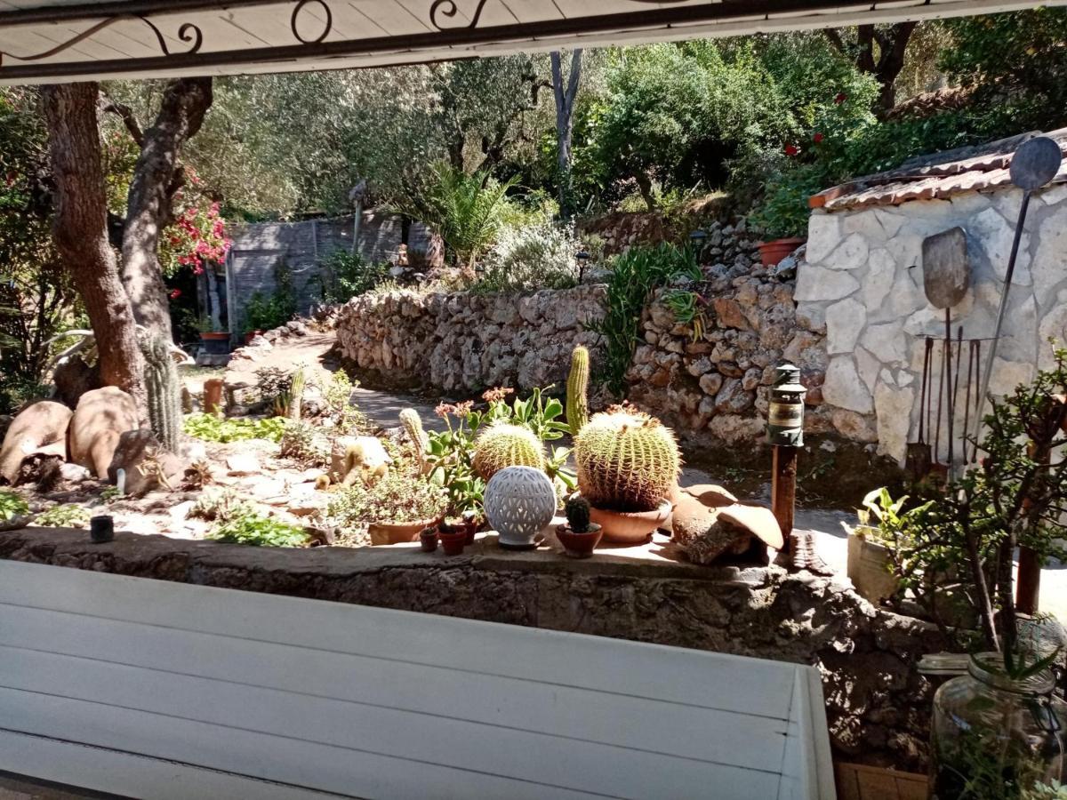 Cottage Pura Vigna Immerso Nella Natura Vicino Al Mare Порто-Санто-Стефано Екстер'єр фото