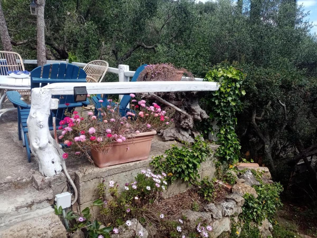 Cottage Pura Vigna Immerso Nella Natura Vicino Al Mare Порто-Санто-Стефано Екстер'єр фото