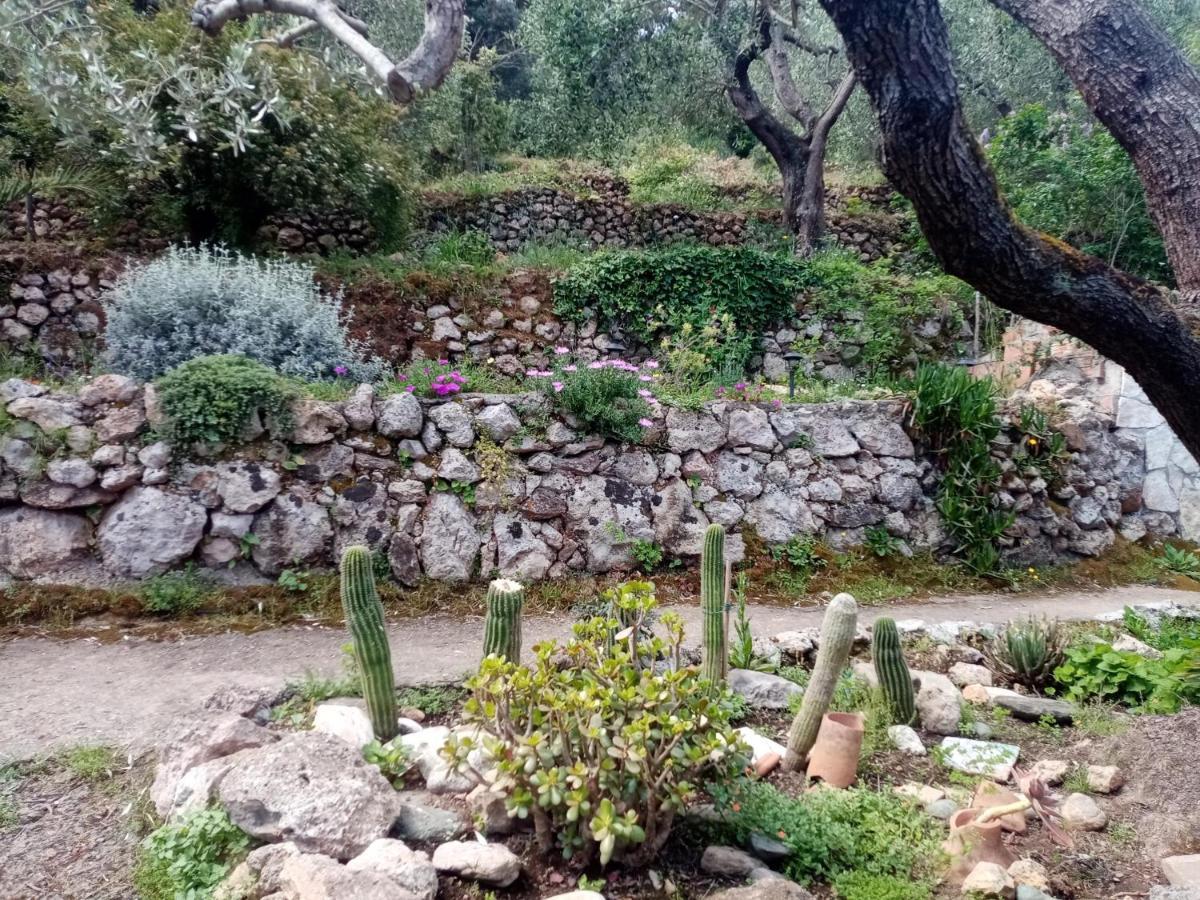 Cottage Pura Vigna Immerso Nella Natura Vicino Al Mare Порто-Санто-Стефано Екстер'єр фото