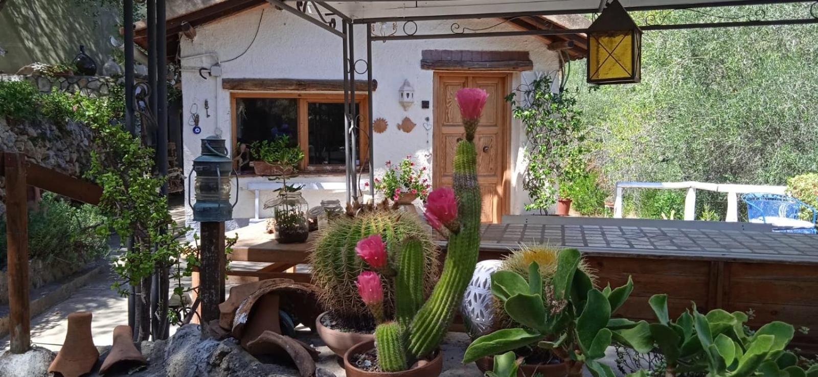 Cottage Pura Vigna Immerso Nella Natura Vicino Al Mare Порто-Санто-Стефано Екстер'єр фото