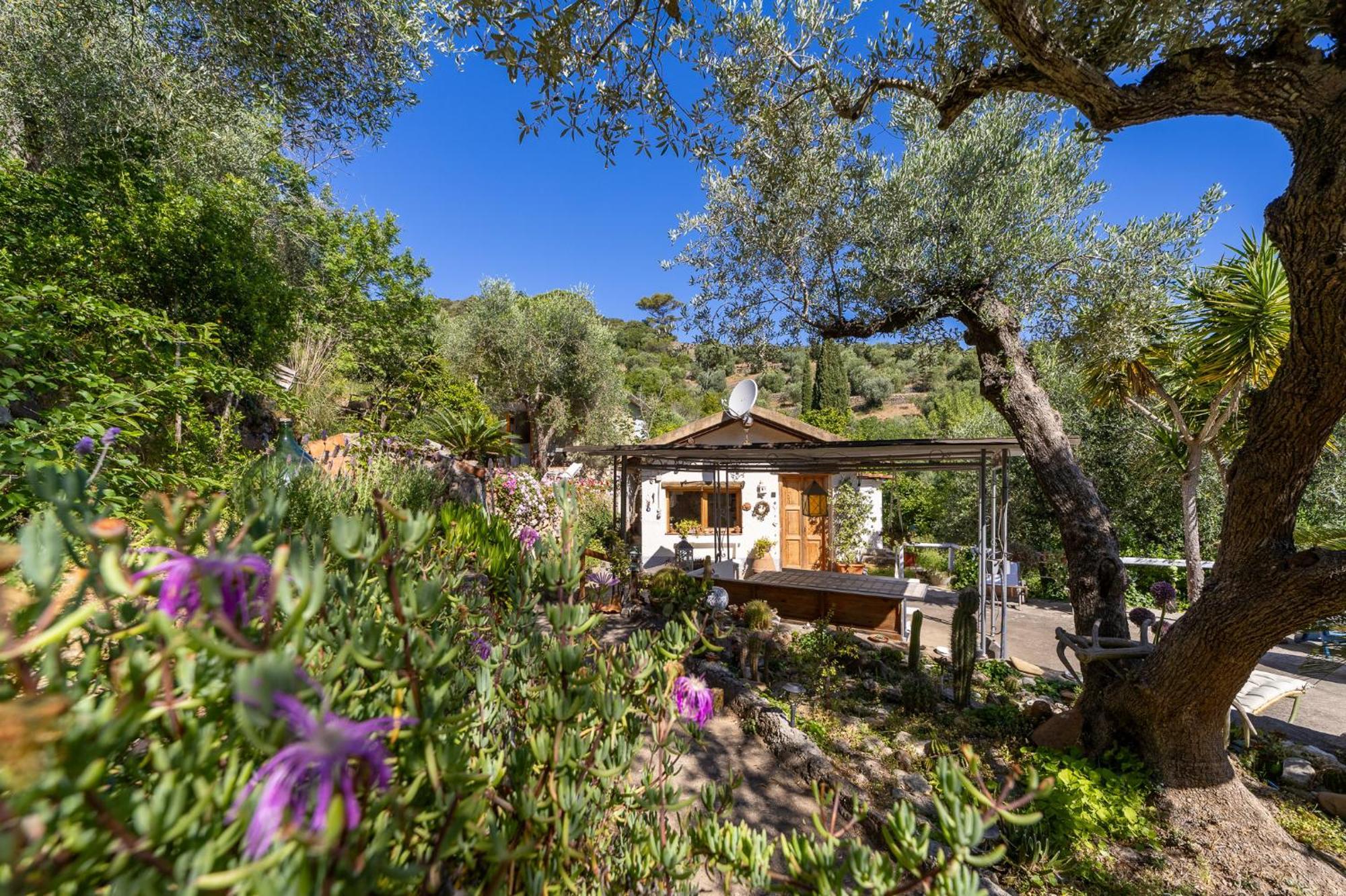 Cottage Pura Vigna Immerso Nella Natura Vicino Al Mare Порто-Санто-Стефано Екстер'єр фото