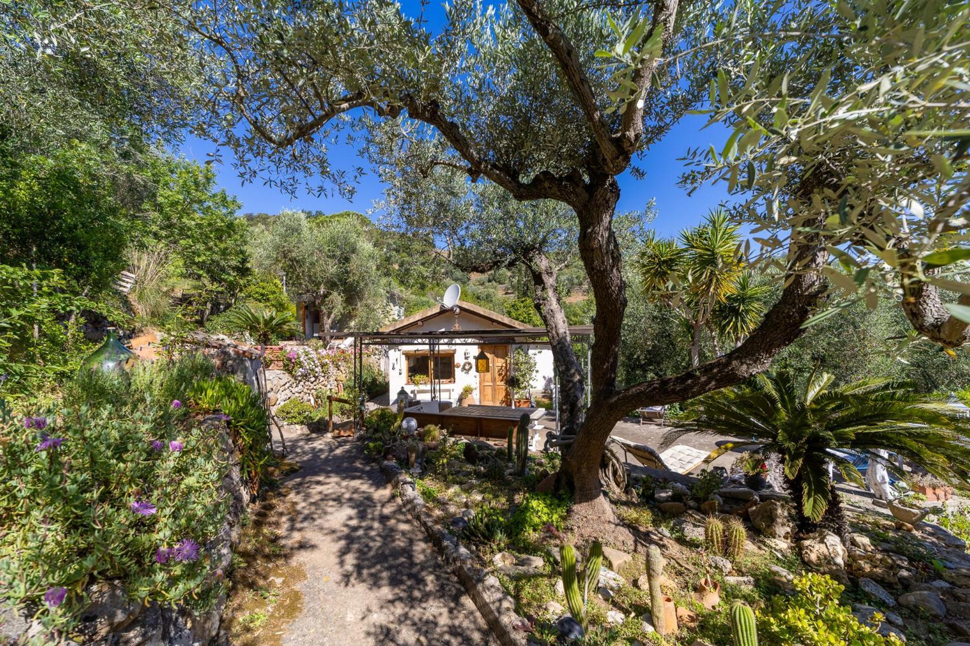 Cottage Pura Vigna Immerso Nella Natura Vicino Al Mare Порто-Санто-Стефано Екстер'єр фото